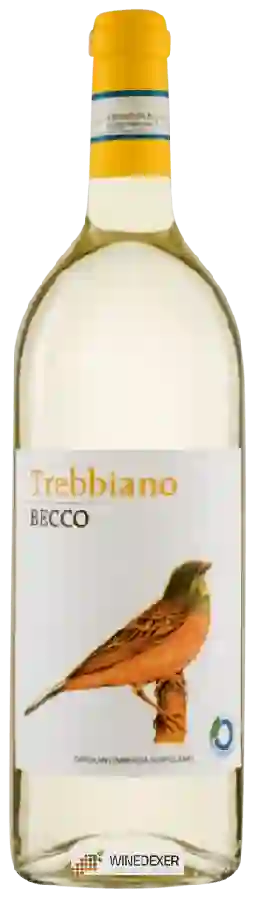 Weingut Becco - Trebbiano