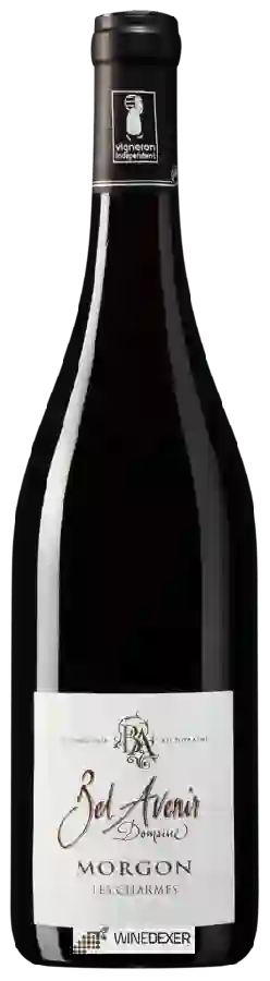 Weingut Bel Avenir - Morgon 'Les Charmes' Weingut Bel Avenir - Morgon 'Les Charmes'