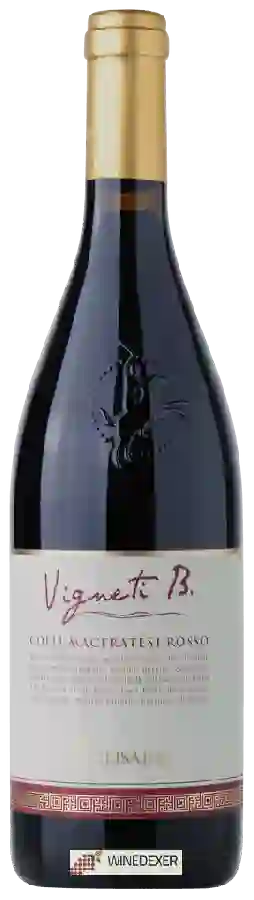 Weingut Belisario - Vigneti B. Colli Maceratesi Rosso Weingut Belisario - Vigneti B. Colli Maceratesi Rosso