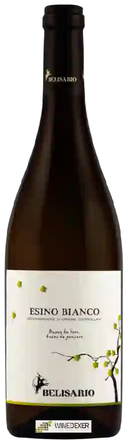 Weingut Belisario - Esino Bianco Weingut Belisario - Esino Bianco