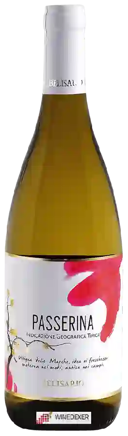 Weingut Belisario - Passerina Weingut Belisario - Passerina