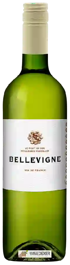 Weingut Bellevigne - Blanc Weingut Bellevigne - Blanc