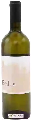 Weingut Bellus - Caldera