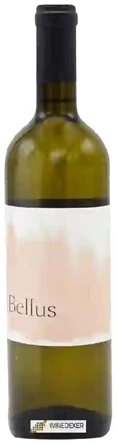 Weingut Bellus - Caldera