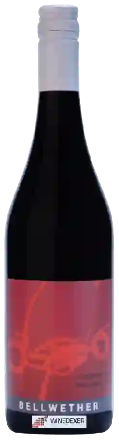 Weingut Bellwether - Wrattonbully Shiraz - Malbec Weingut Bellwether - Wrattonbully Shiraz - Malbec