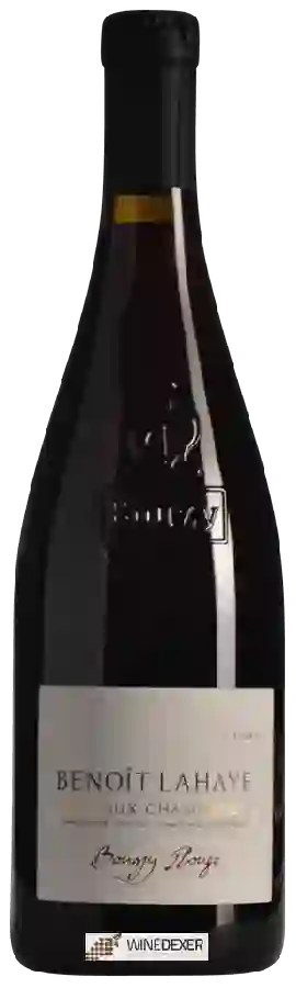 Weingut Benoît Lahaye - Bouzy Rouge Côteaux Champenois Weingut Benoît Lahaye - Bouzy Rouge Côteaux Champenois