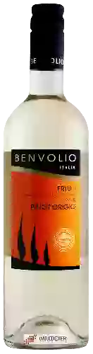 Weingut Benvolio - Pinot Grigio