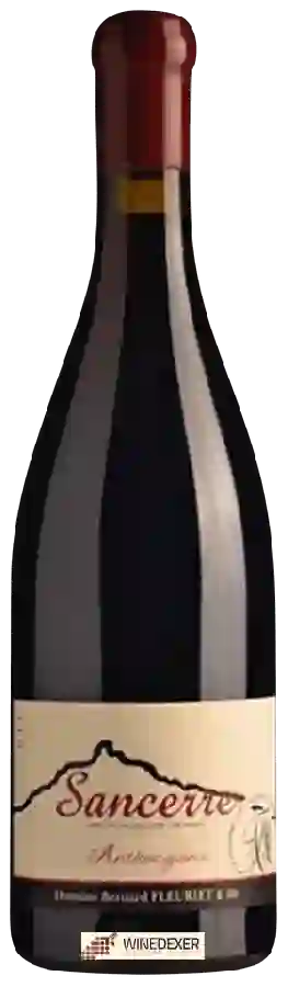 Domaine Bernard Fleuriet & Fils - Anthocyane Sancerre Rouge