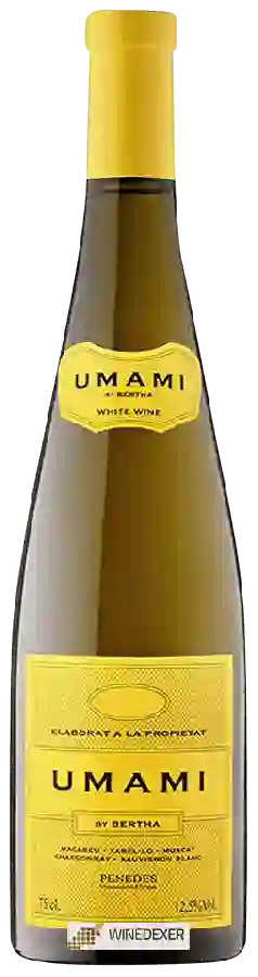 Weingut Bertha - Umami