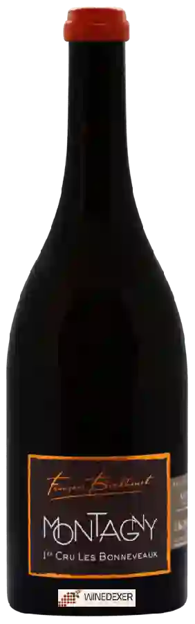 Weingut Berthenet - Montagny 1er Cru 'Les Bonneveaux'