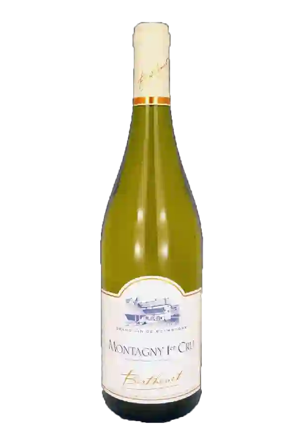 Weingut Berthenet - Montagny 1er Cru 'Les Perrieres'