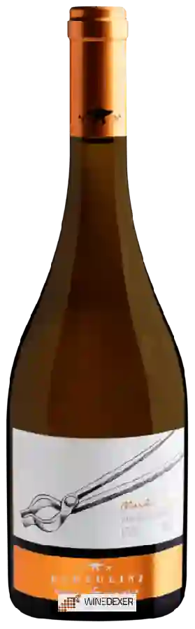 Weingut Bertolini - Chardonnay Weingut Bertolini - Chardonnay