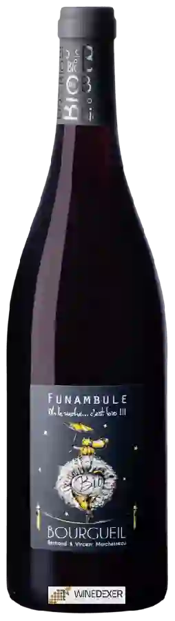 Weingut Bertrand & Vincent Marchesseau - Funambule Bourgueil Weingut Bertrand & Vincent Marchesseau - Funambule Bourgueil