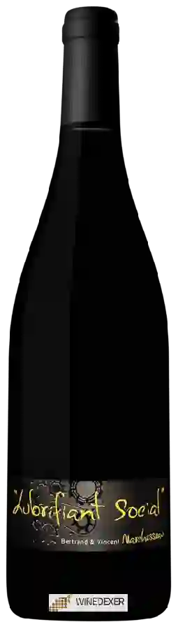Weingut Bertrand & Vincent Marchesseau - Lubrifiant Social St Nicolas de Bourgueil Weingut Bertrand & Vincent Marchesseau - Lubrifiant Social St Nicolas de Bourgueil