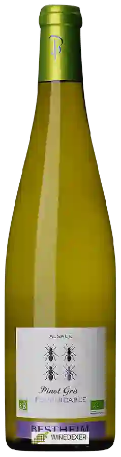 Weingut Bestheim - Fourmidable Pinot Gris