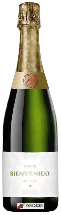 Weingut Bienvenido - Cava Brut Weingut Bienvenido - Cava Brut