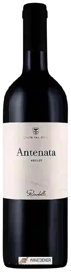 Weingut Bindella - Tenuta Vallocaia - Antenata Weingut Bindella - Tenuta Vallocaia - Antenata