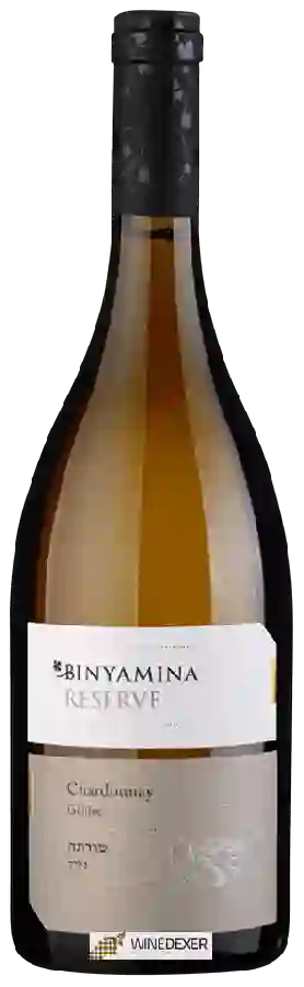Weingut Binyamina - Binyamina Reserve Chardonnay ( בנימינה רזרב שרדונה ) Weingut Binyamina - Binyamina Reserve Chardonnay ( בנימינה רזרב שרדונה )
