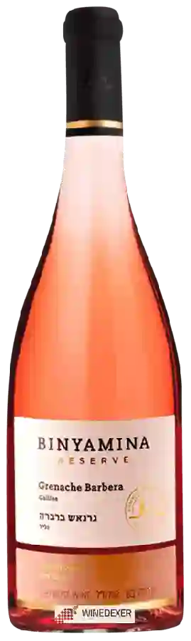 Weingut Binyamina - Reserve Grenache - Barbera Rosé