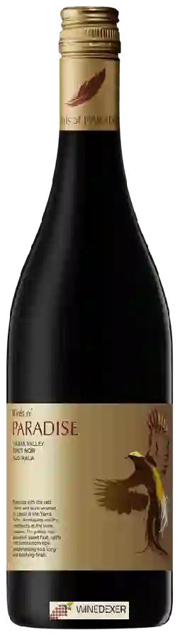 Weingut Birds of Paradise - Pinot Noir