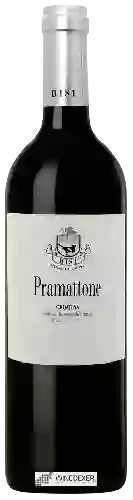 Weingut Azienda Agricola Bisi - Pramattone Croatina