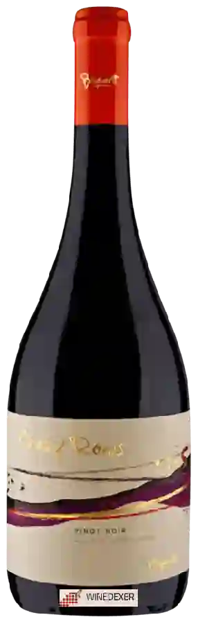 Weingut Bisquertt Family Vineyards - Crazy Rows Pinot Noir Weingut Bisquertt Family Vineyards - Crazy Rows Pinot Noir