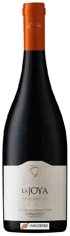 Weingut Bisquertt Family Vineyards - La Joya Gran Reserva Pinot Noir Weingut Bisquertt Family Vineyards - La Joya Gran Reserva Pinot Noir