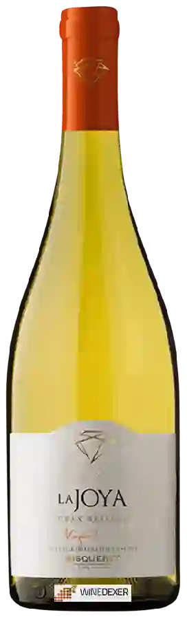 Weingut Bisquertt Family Vineyards - La Joya Gran Reserva Viognier Weingut Bisquertt Family Vineyards - La Joya Gran Reserva Viognier