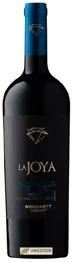 Weingut Bisquertt Family Vineyards - La Joya Single Vineyard Merlot