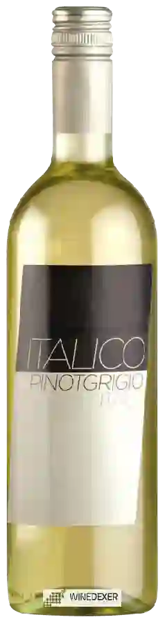 Weingut Bixio - Italico Pinot Grigio Weingut Bixio - Italico Pinot Grigio