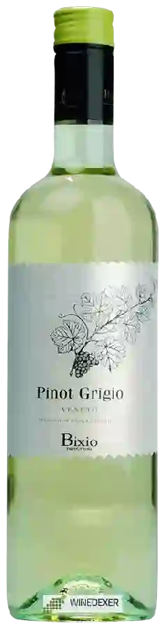 Weingut Bixio - Pinot Grigio Weingut Bixio - Pinot Grigio