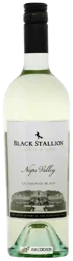 Weingut Black Stallion - Sauvignon Blanc
