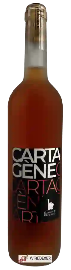 Weingut Blancardy - Vigneron Alain Martial Cartagene