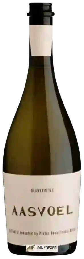 Weingut BLANKbottle - Aasvoel