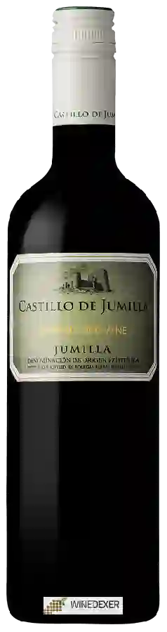 Weingut Bleda - Castillo de Jumilla Organic Red