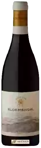 Weingut Bloemendal - Syrah