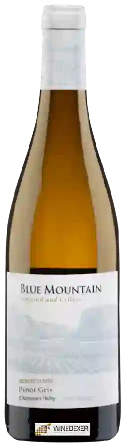 Weingut Blue Mountain Vineyard - Pinot Gris