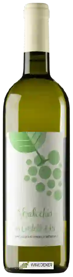 Weingut Boccafosca - Verdicchio dei Castelli di Jesi Classico Weingut Boccafosca - Verdicchio dei Castelli di Jesi Classico