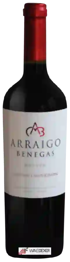 Weingut Benegas - Arraigo Benegas Cabernet Sauvignon