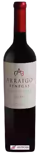 Weingut Benegas - Arraigo Benegas Single Vineyard Malbec
