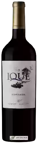Weingut Enrique Foster - Ique Bonarda