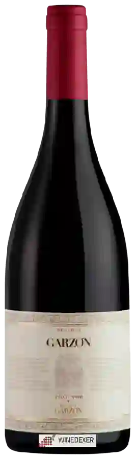 Bodega Garzón - Reserva Pinot Noir
