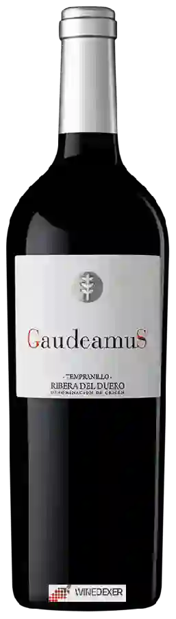 Weingut Hnos. del Villar - Gaudeamus Inicio