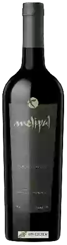 Weingut Melipal - Cabernet Franc