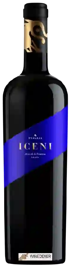 Bodega Tesalia - Iceni Bodega Tesalia - Iceni