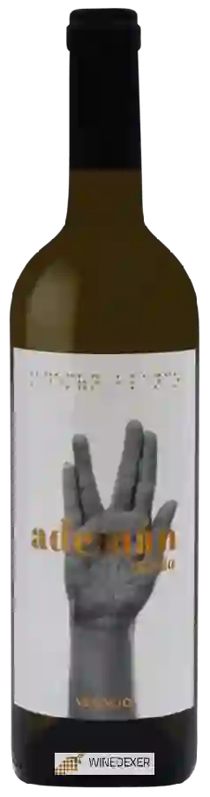 Bodega y Viñedos Maires - Ademán Adalia Verdejo