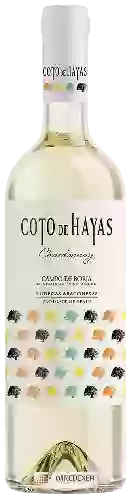 Bodegas Aragonesas - Coto de Hayas Chardonnay