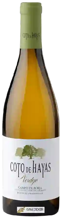 Bodegas Aragonesas - Coto de Hayas Verdejo Bodegas Aragonesas - Coto de Hayas Verdejo