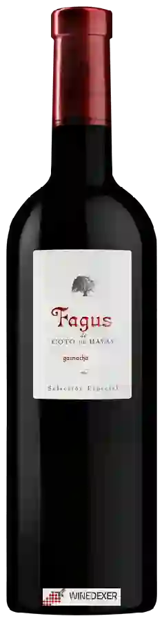 Bodegas Aragonesas - Fagus de Coto de Hayas Garnacha