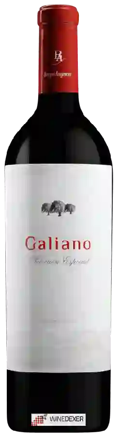 Bodegas Aragonesas - Galiano Selección Especial